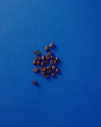 CAFÉ LATTE